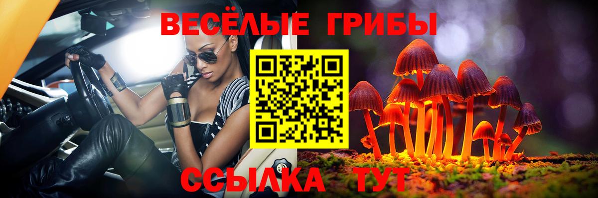 Псилоцибиновые грибы MAGIC MUSHROOMS  Галлюциногенные грибы Psilocybine cubensis  Апатиты  цены наркотик  Вход с VPN 